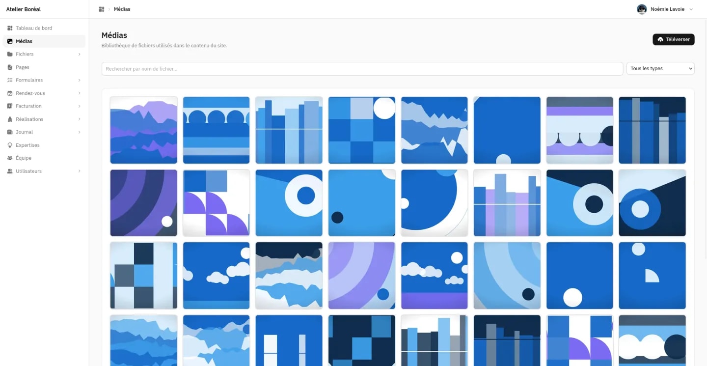 La médiathèque, sa grille de vignettes, sa recherche et son filtre par type